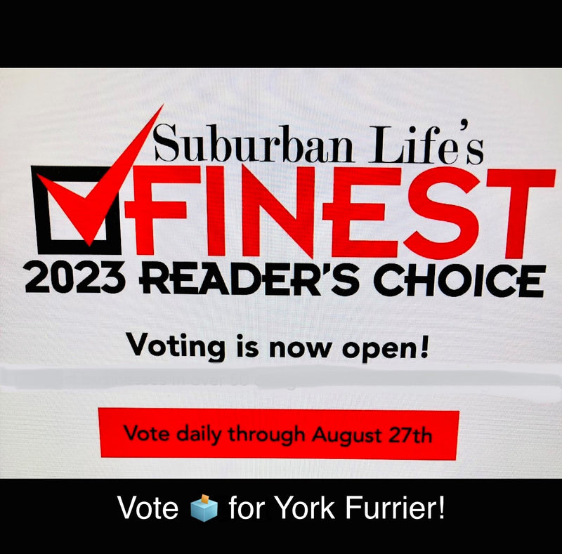 York Furrier Friends, Fans & Followers – Please Vote!!!